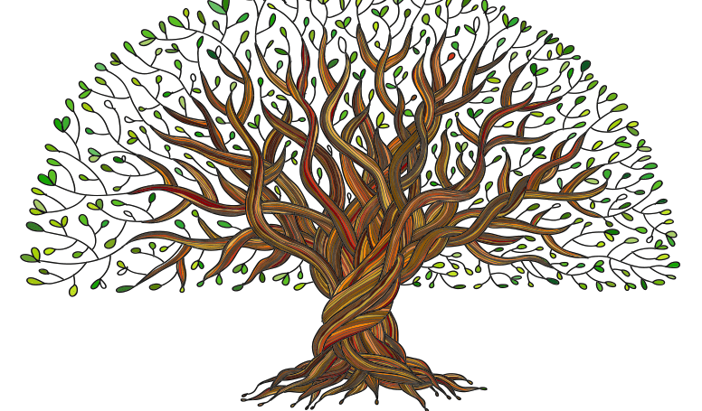genealogy